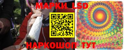 спайс Берёзовский