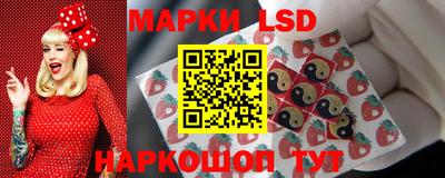 индика Вышний Волочёк