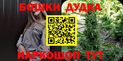 спайс Берёзовский