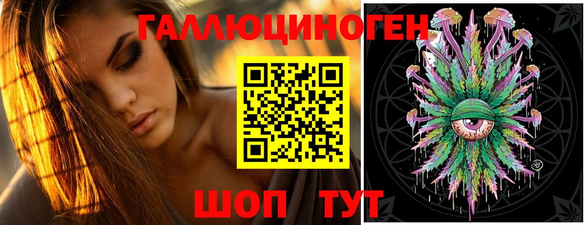 Псилоцибиновые грибы мицелий  Вход с VPN  Бердск 