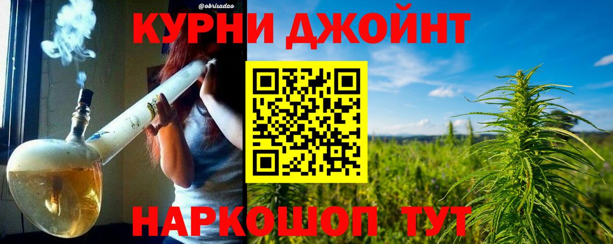 Каннабис конопля  Бердск  МАРИХУАНА тримм  Конопля планчик 